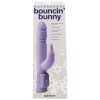 Bouncin Bunny Vibe