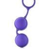 Excite Removable Kegel Exercisers
