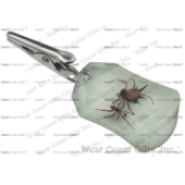 GLOW-IN-THE-DARK SPIDER CLIP