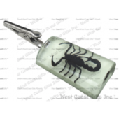 GLOW-IN-THE-DARK STAND-UP BLACK SCORPION CLIP