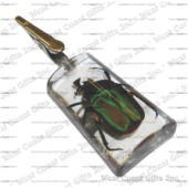 CLEAR STAND-UP EMERALD ROSE CHAFER CLIP