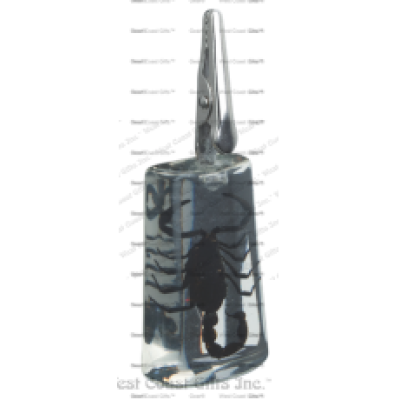 CLEAR STAND-UP BLACK SCORPION CLIP