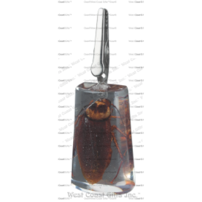 CLEAR STAND-UP ROACH CLIP